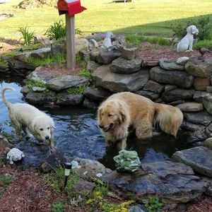 Meet your Posher, Becky